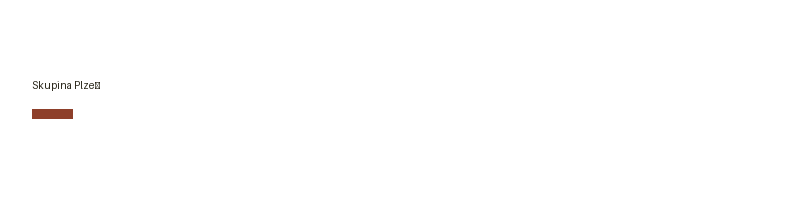 Skupina Plzeň logo